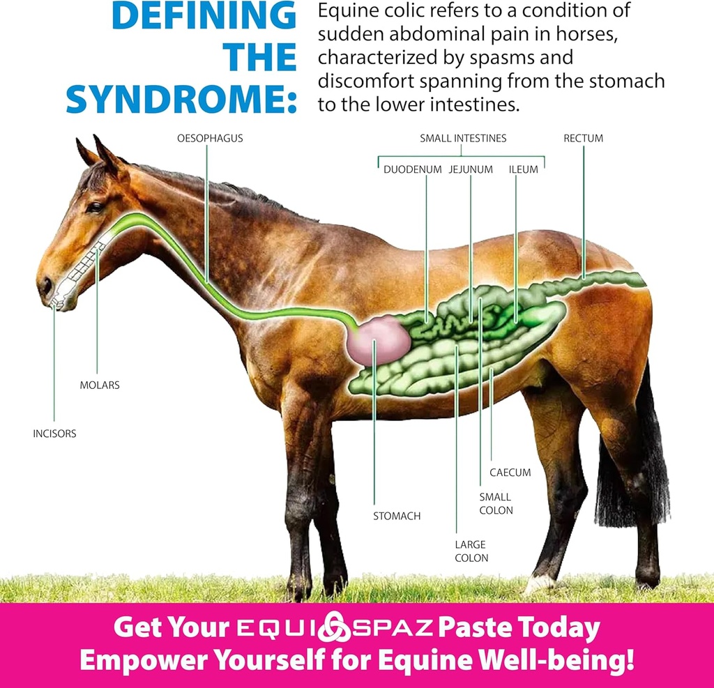 horse-digestion-supplement-to-immediatel-4.jpg