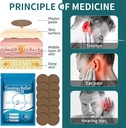 tinnitus-relief-patches-natural-herbal-t-2.jpg