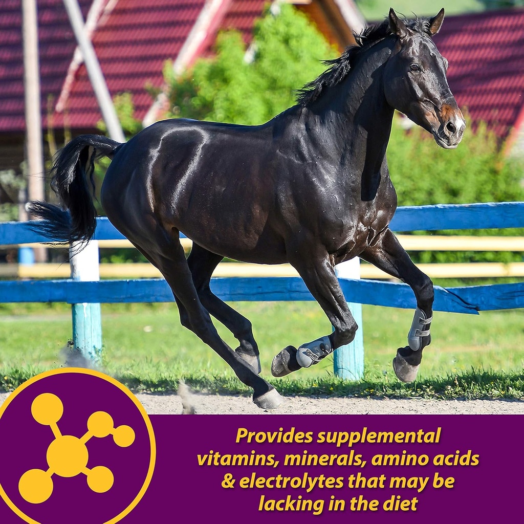 horse-health-maxum-crumbles-concentrated-3.jpg