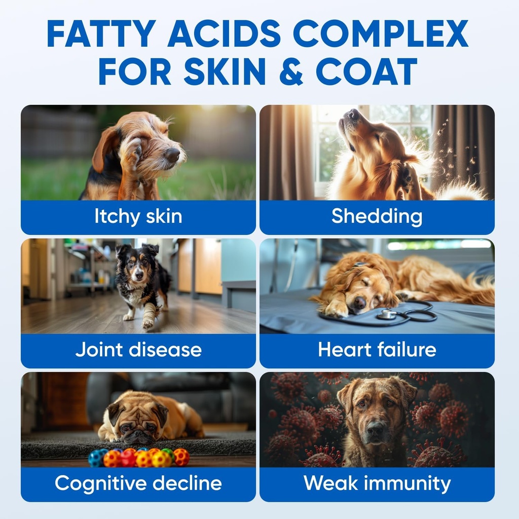 chews-for-dogs-omega-3-fish-oil---dog-co-2.jpg