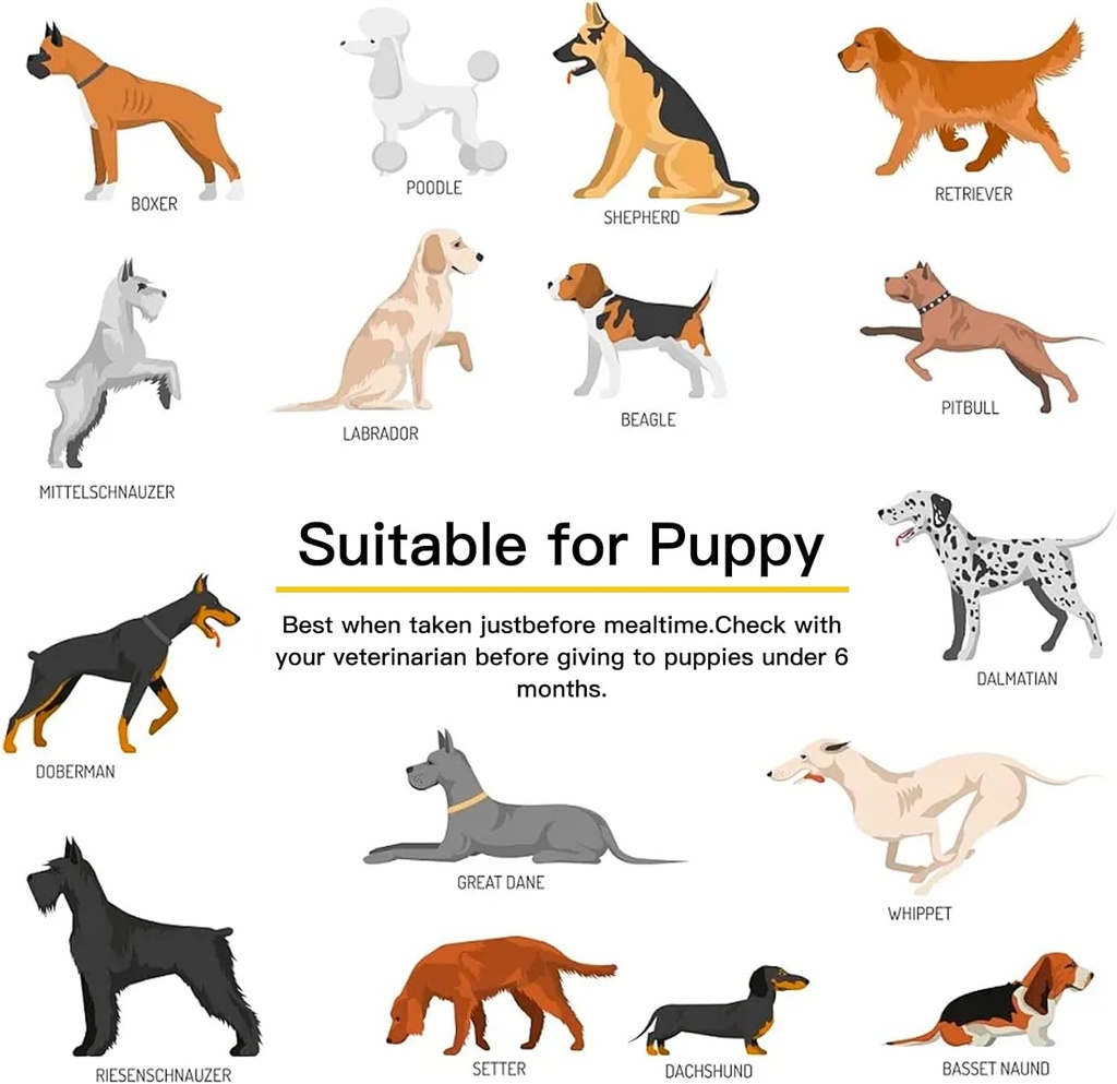 dog-vitamins-and-supplements-senior-pupp-5.jpg
