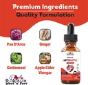 natural-cat-antibiotic---antibiotics-for-5.jpg