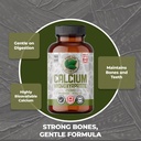 calcium-hydroxyapatite-250-mg---120-vega-2.jpg