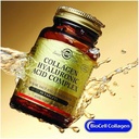 solgar-collagen-hyaluronic-acid-complex--4.jpg