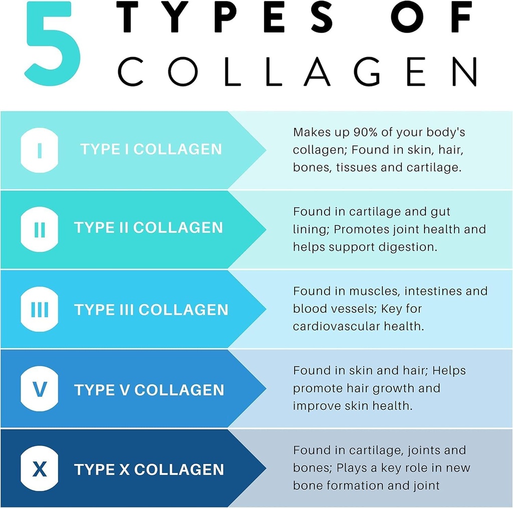 collagen-hair-skin-and-nail-supplement-f-2.jpg