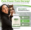 lignans-for-life-hmr-lignans-for-dogs-i--2.jpg