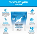 om-mushroom-matrix-maximum-recovery-mush-3.jpg