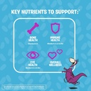 flintstones-vitamins-superbeanskids-mult-4.jpg