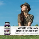kaya-naturals-ashwagandha-bitter-gummies-3.jpg