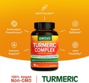 Turmeric Curcumin, 1200 mg Turmeric Root Extract & Powder, Standardized to 95% Curcuminoids, High Potency Joint Health Support, Enhanced Absorption with Black Pepper, 90 Vegan Caps 6