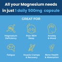 liver-cleanse-detox-repair-formula---mil-2.jpg