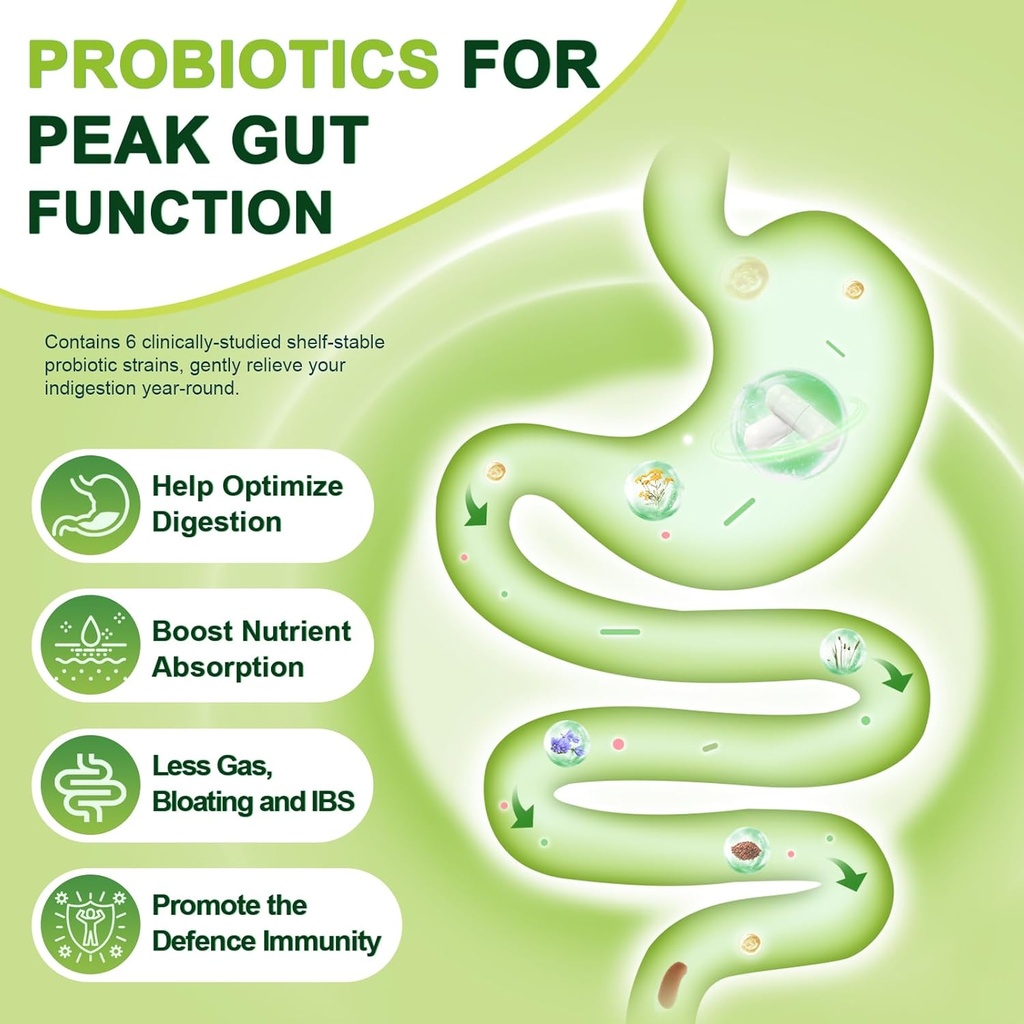 probiotics-for-women-men-digestive-healt-3.jpg