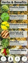 happy-healthy-hippie-glow-for-it-astaxan-2.jpg
