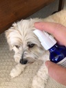 eye-all-natural-liquid-supplement-for-im-2.jpg