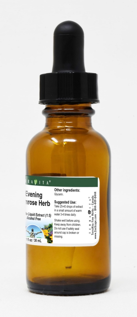 terravita-evening-primrose-herb-glycerit-3.jpg