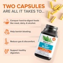 zenwise-health-no-bloat-digestive-enzyme-3.jpg