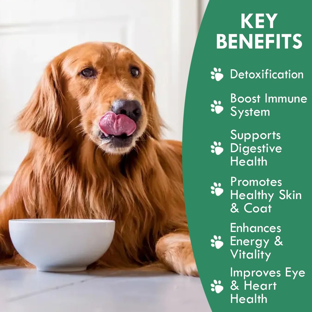 holistic-bin-canine-fermented-chlorella--5.jpg