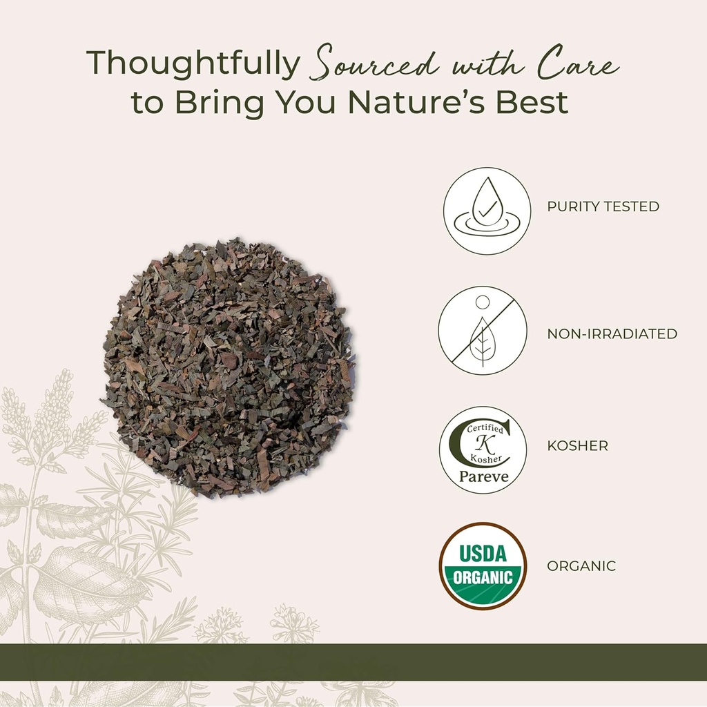 starwest-botanicals-organic-ginkgo-leaf--4.jpg