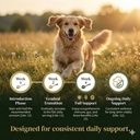 turkey-tail-mushroom-for-dogs-ultra-7-in-5.jpg