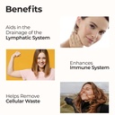 zen-routine-lymphatic-drainage-liquid-dr-2.jpg