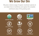 om-mushroom-superfood-turkey-tail-organi-5.jpg