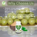 amla-capsules-500mg-organic-indian-goose-5.jpg