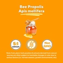 bee-propolis-extract-capsules-1000mg-sup-4.jpg
