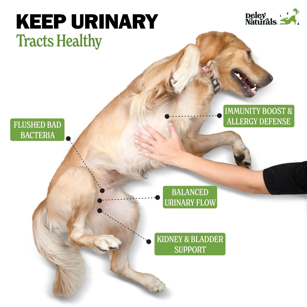 deley-naturals-dog-uti-chews-vet-grade-c-3.jpg