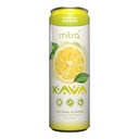 mitra9-botanical-beverages---lemonade-sp-3.jpg