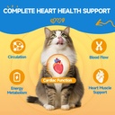 taurine-supplement-for-cats-dog-mushroom-6.jpg
