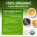 true-veda-energy-and-digestive-support-b-2.jpg