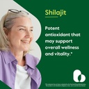 bestvite-pure-shilajit-extract-500mg-120-3.jpg