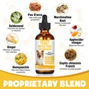 yeast-infection-treatment-for-dogs-dog-e-3.jpg