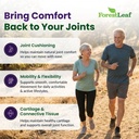 forestleaf-glucosamine-chondroitin-msm-j-2.jpg