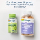 solaray-glucosamine-chondroitin-hyaluron-6.jpg