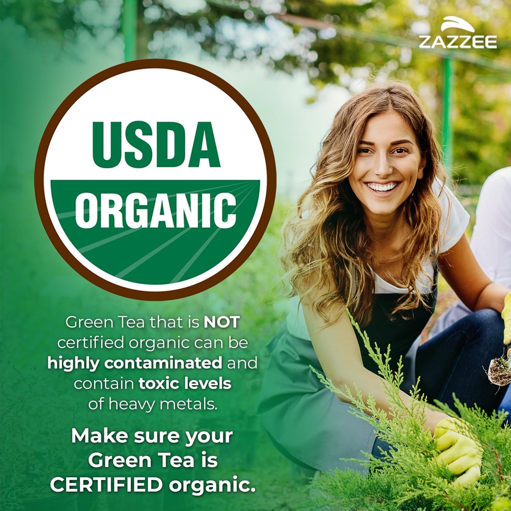 zazzee-usda-organic-green-tea-20-1-extra-2.jpg