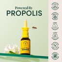 beekeepers-naturals-nasal-spray-for-adul-2.jpg