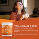 vimergy-usda-organic-wild-chaga-mushroom-2.jpg