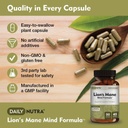 dailynutra-lions-mane-mind-formula---noo-4.jpg