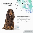 thornevet-kidney-support-for-dogs-cats-p-2.jpg