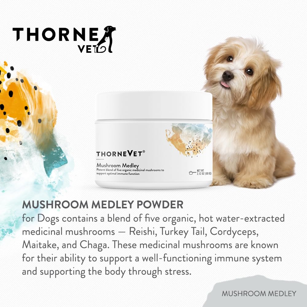 thornevet-mushroom-medley-for-dogs-immun-3.jpg
