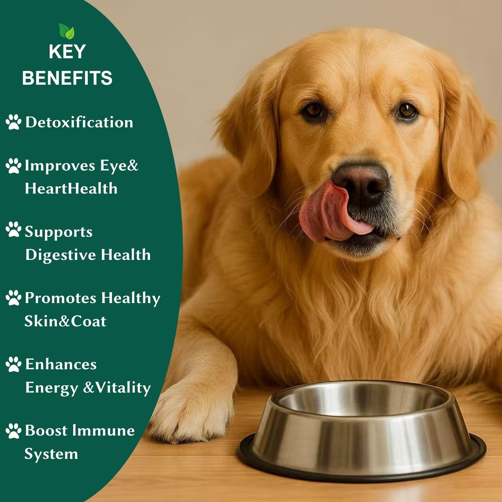 chlorophyll-for-dogs-chlorella-tablets-c-2.jpg
