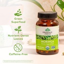 organic-india-moringa-herbal-supplement--2.jpg