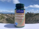na-trition-astragalus-herbal-tonic-qi-en-3.jpg