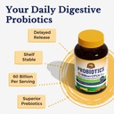 vitalitown-probiotics-prebiotics-60-bill-2.jpg