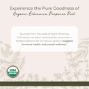 starwest-botanicals-dried-echinacea-purp-2.jpg