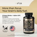 gflow-vitamins-ginkgo-biloba-alpha-gpc-s-2.jpg