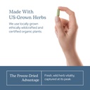 eclectic-herb-premium-freeze-dried-cranb-6.jpg