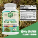 organic-sea-moss-immune-support-brain-he-3.jpg