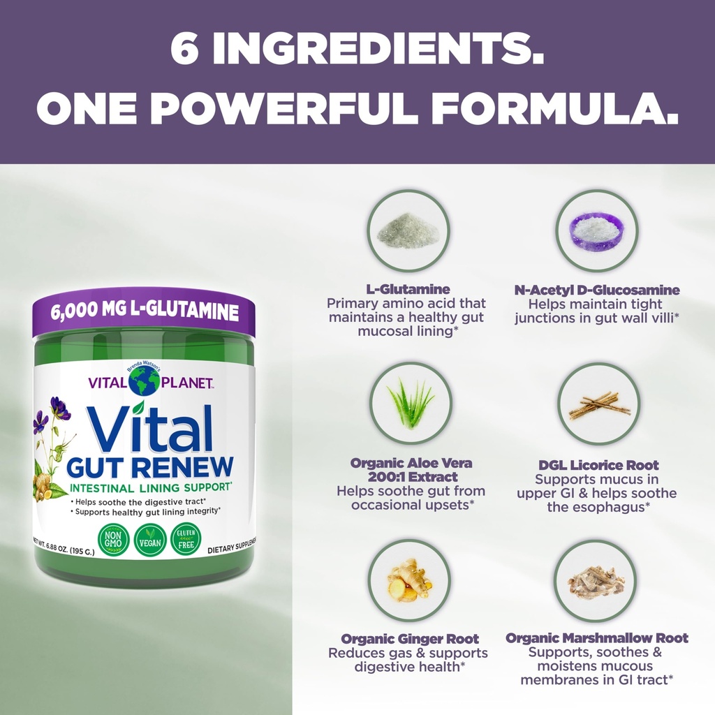 vital-planet-vital-gut-renew-powder-supp-3.jpg